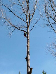 Une belle « ascension » même si ce n'est pas l'Everest