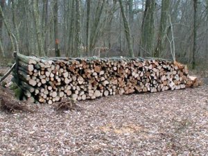 Un joli tas de l'an passé trés utile par ces temps...