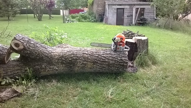 Created with Nokia Smart Cam