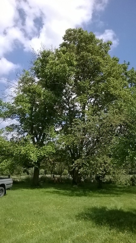 Created with Nokia Smart Cam