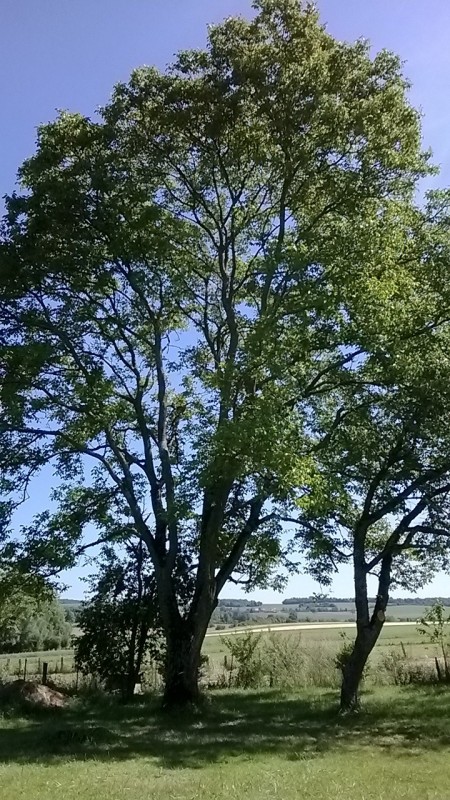 Created with Nokia Smart Cam