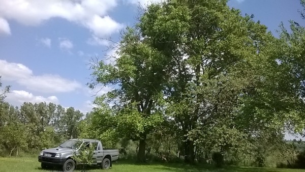 Created with Nokia Smart Cam