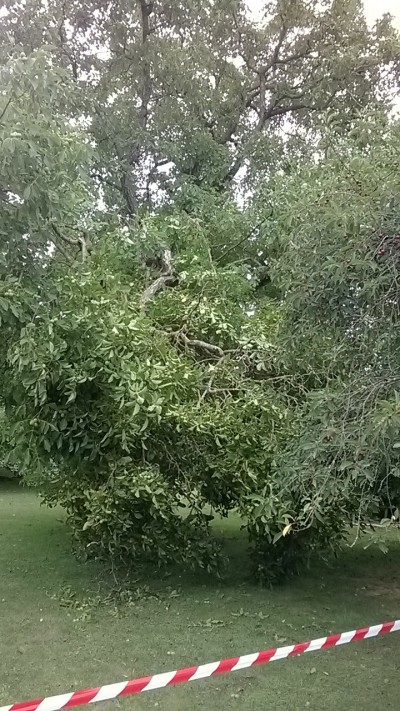 Created with Nokia Smart Cam