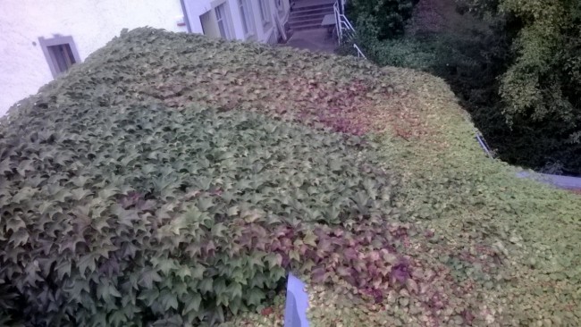 Created with Nokia Smart Cam