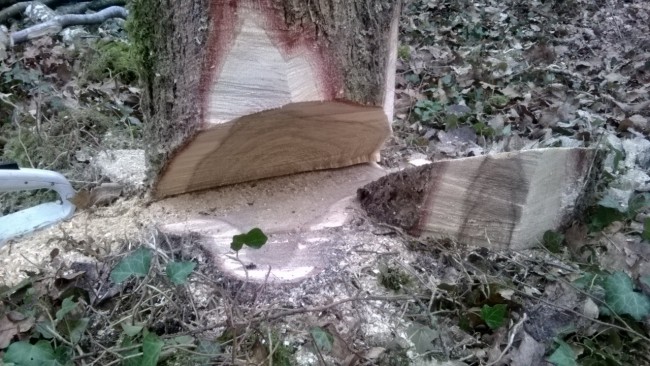 Entaille directionnelle