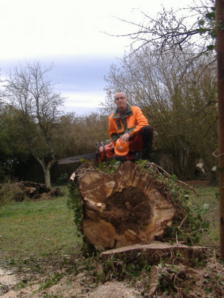 La grume, 1,30 métre de diamètre