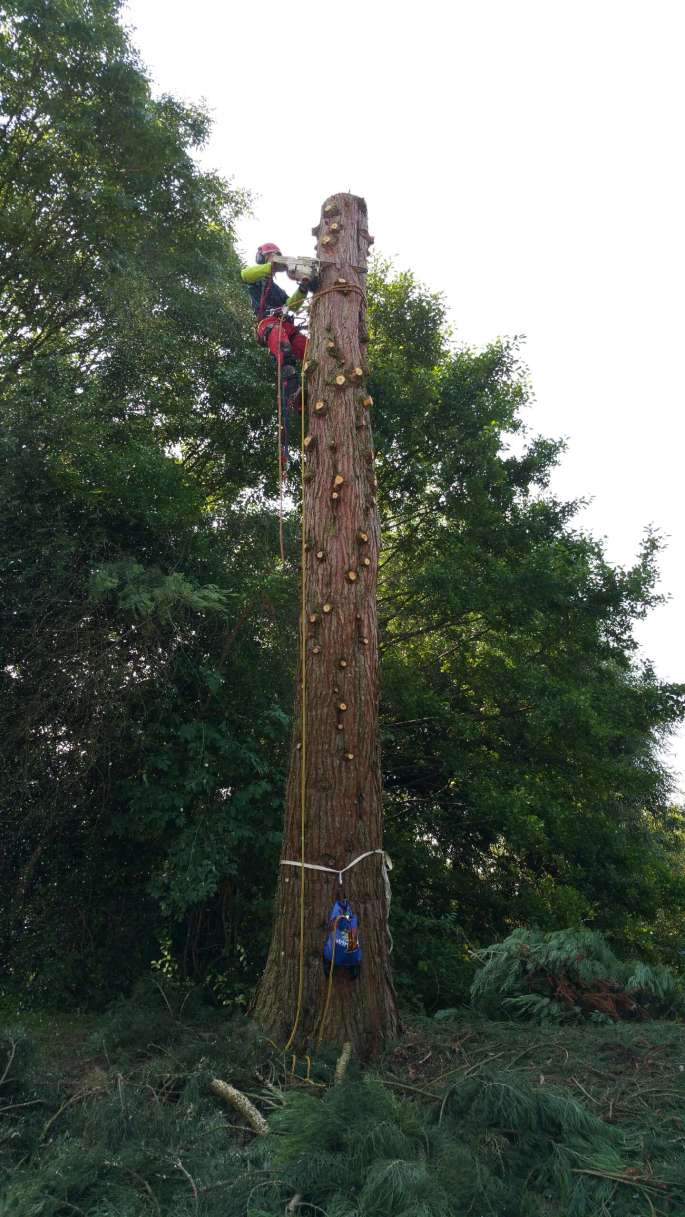 Démontage en Alsace